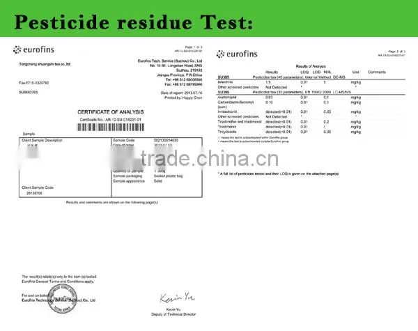 Hot sale Chinese green tea price best Chunmee green tea for uzbekistan