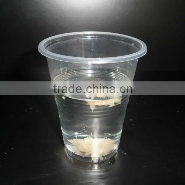 PP Clear Disposable Cup 10OZ For Beverage