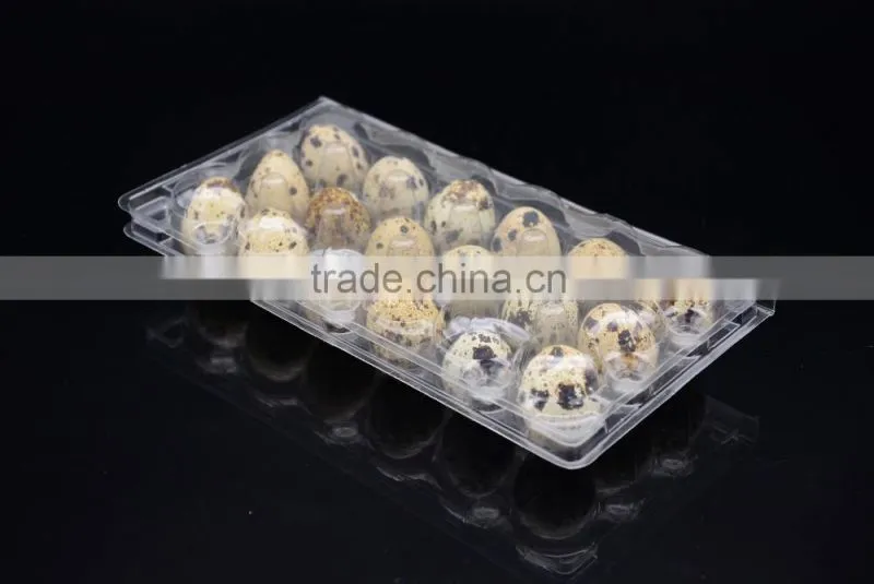 clear plastic quail egg packaging carton with 18 cavities