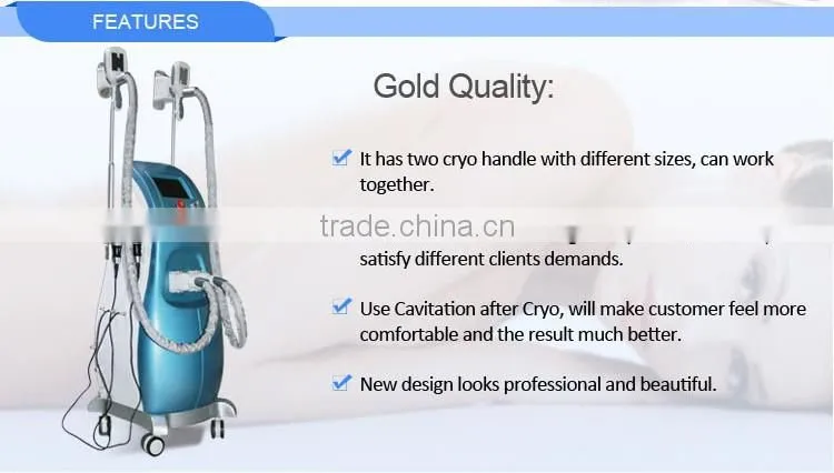 price cryolipolysis / cryolipolysie / cryolipolysis body slimming machine