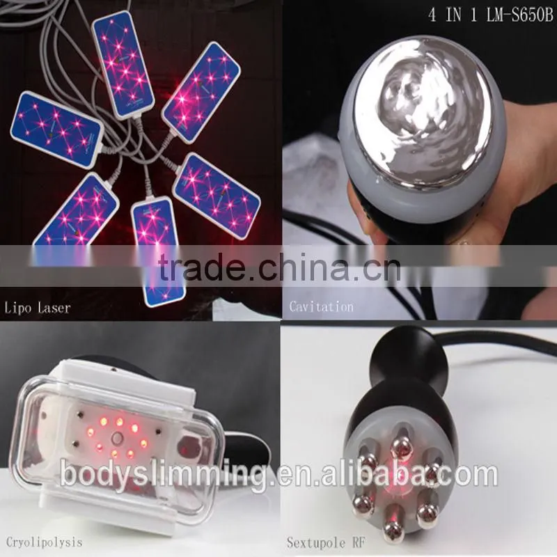 Portable lipolaser kryolipolysis lipo cryolysis beauty slim device