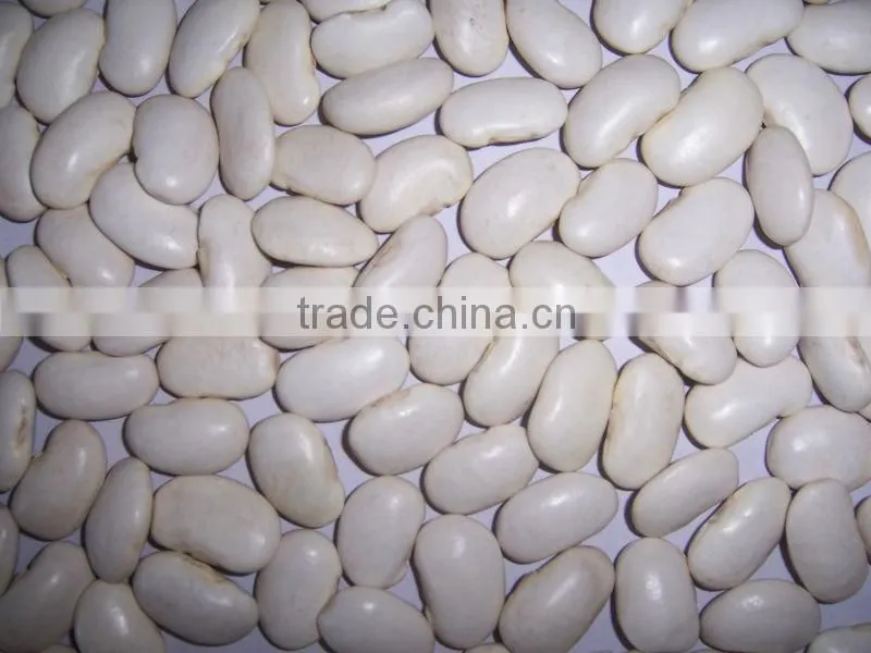 2014 different varieties of white kidney beans from China with cheap price