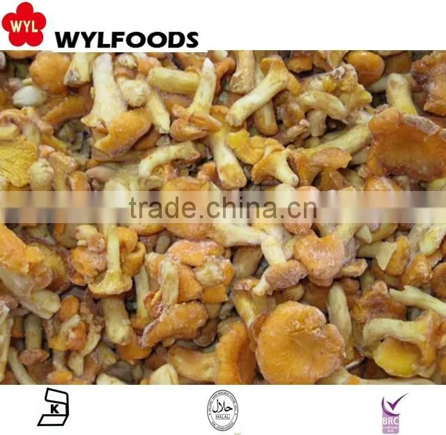 2015 new product China mushroom frozen chanterelles mushroom