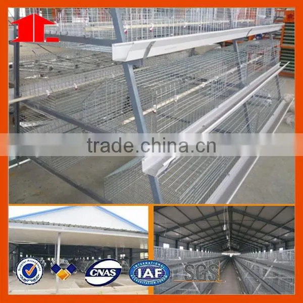 automatic poultry equipment for chicken breeding for broilers cage