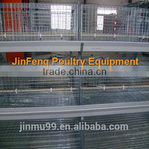 new design hot sale chicken Broiler Chicken