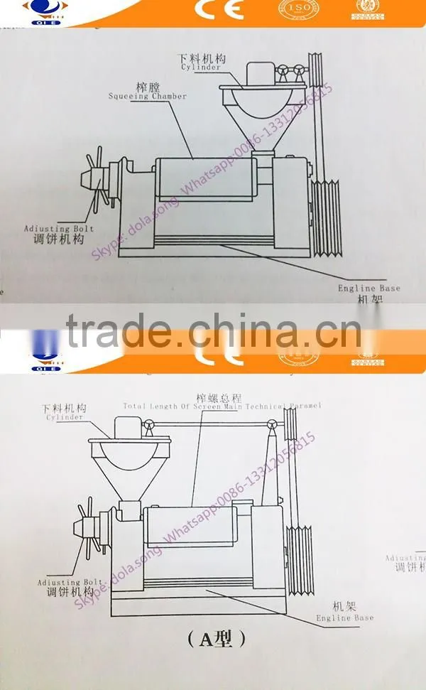 AS416 high output cold oil press machine sunflower cold press machine