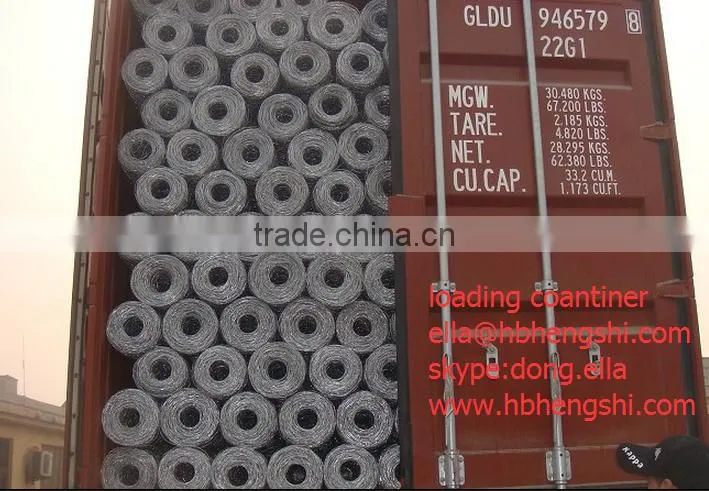 Hexagonal Mesh/Hexagonal Wire Mesh
