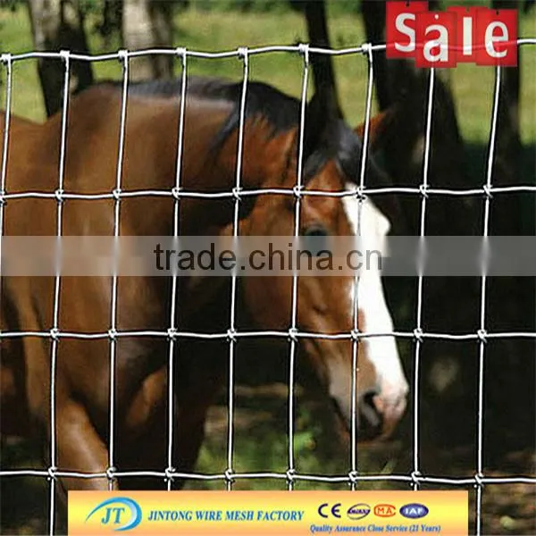 galvanized cheap wire mesh security black horse fences