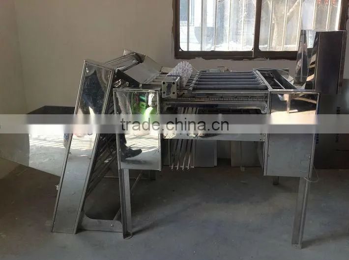 2015 new arrival boiled chicken egg skin removing machine in alibaba SMS:0086-15238398301