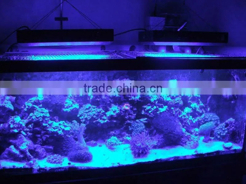 2012 best sales led aquarium light sunrise and sunset