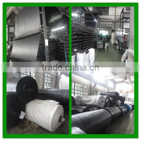 Agricultural garden/greenhouse pp weed mat ground cover