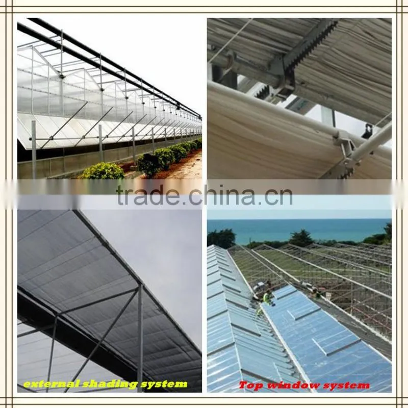 plastic film commercial greenhouse for tomatoes with arched type