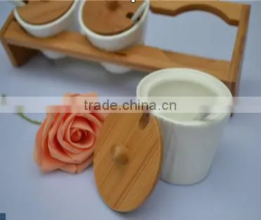high quality wholesale ceramic spice holder /spice organizer wholesale/3pcs set ceramic spice pots whole sale