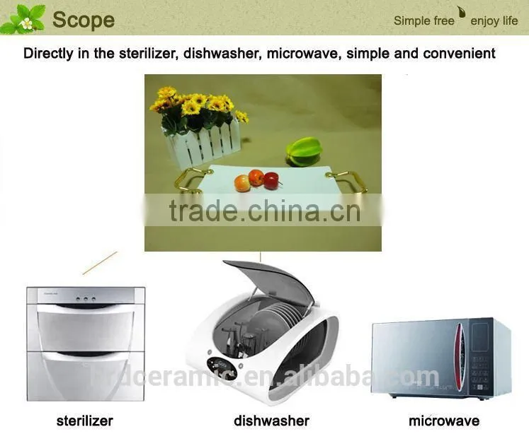 Factory stock plate ceramic with Metal handle