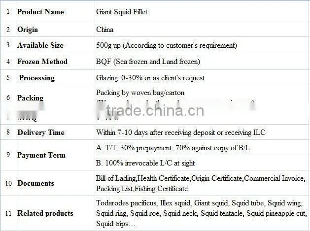 Frozen Giant Squid Fillet