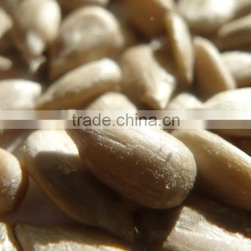 Organic sunflower kernel