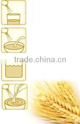 China HALAL health food! Wheat germ