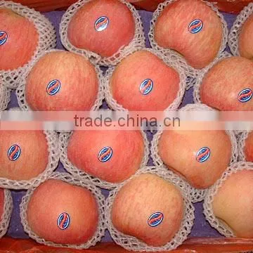 fresh Fuji apple