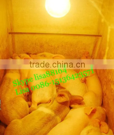Plastic Incubator keep piglets warming