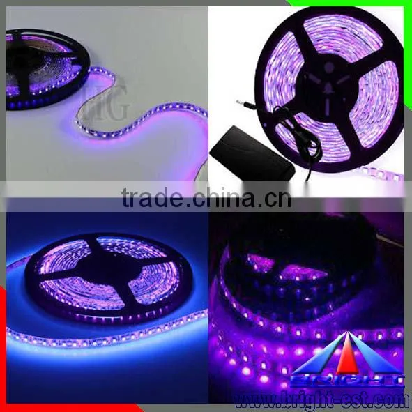 Widly used led strip, 365nm 10mm width led strip light, 5050 led UV light strip