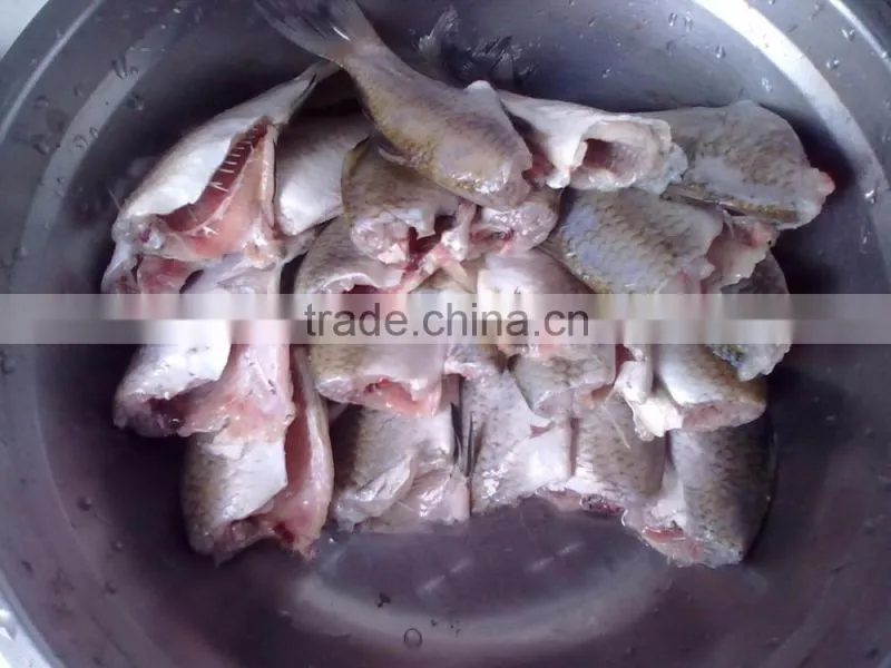 Supermarket manual fish process machine/fish killing machine