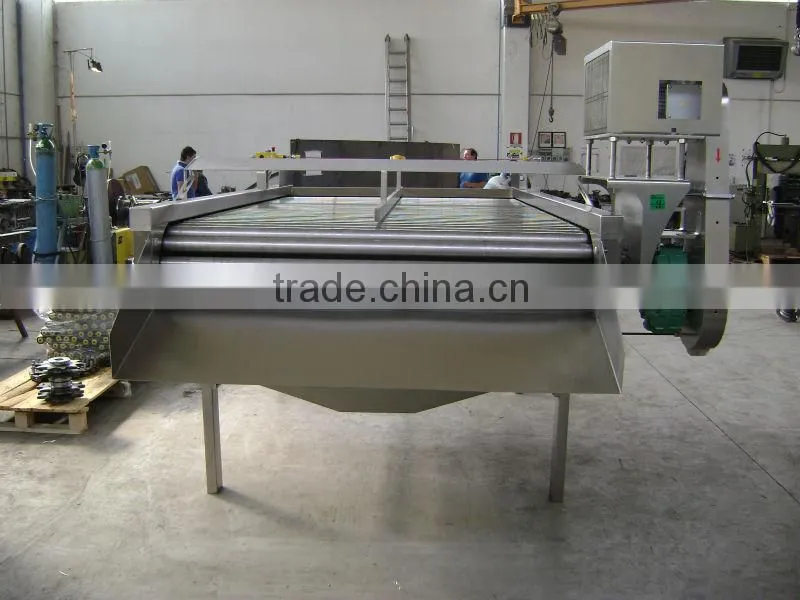 Fruit grading machine