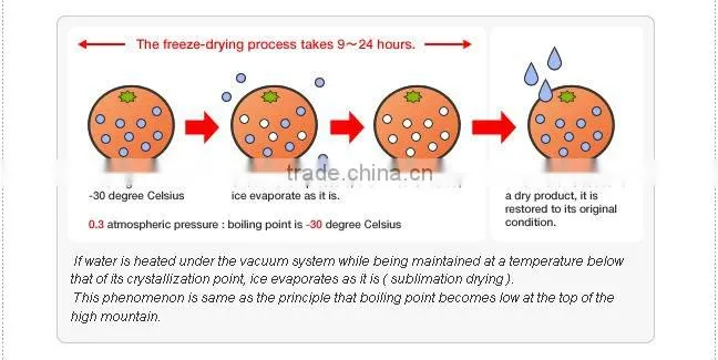 Instant Soup Packets Japan Freeze Dried Miso Soup (Eggplants Mixed Taste)