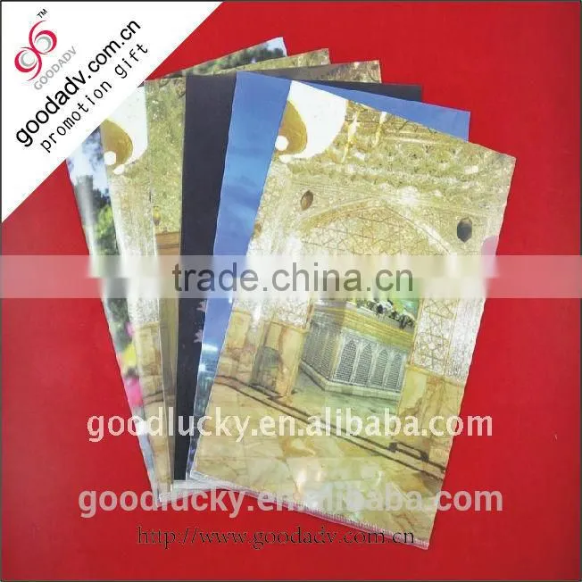 Factory price pp material eco-friendly clear holder file a4