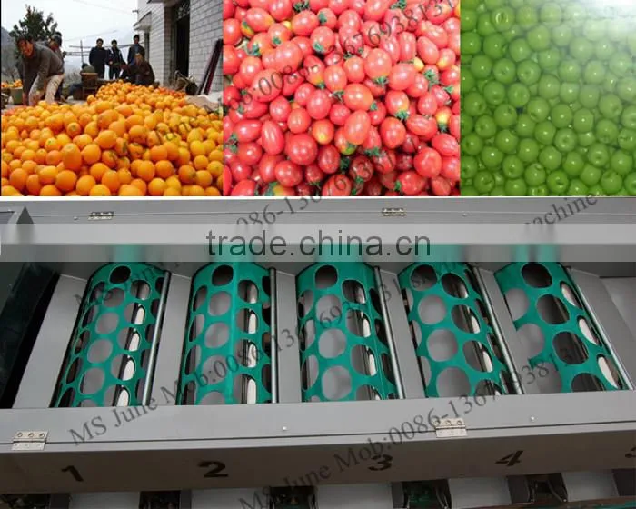 china factory machine wheat grading machine