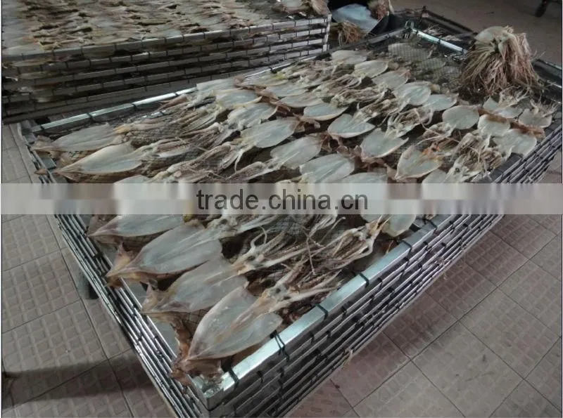 Dried squid seafood