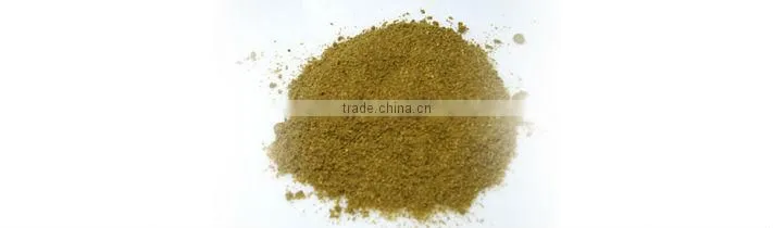 Coriander powder
