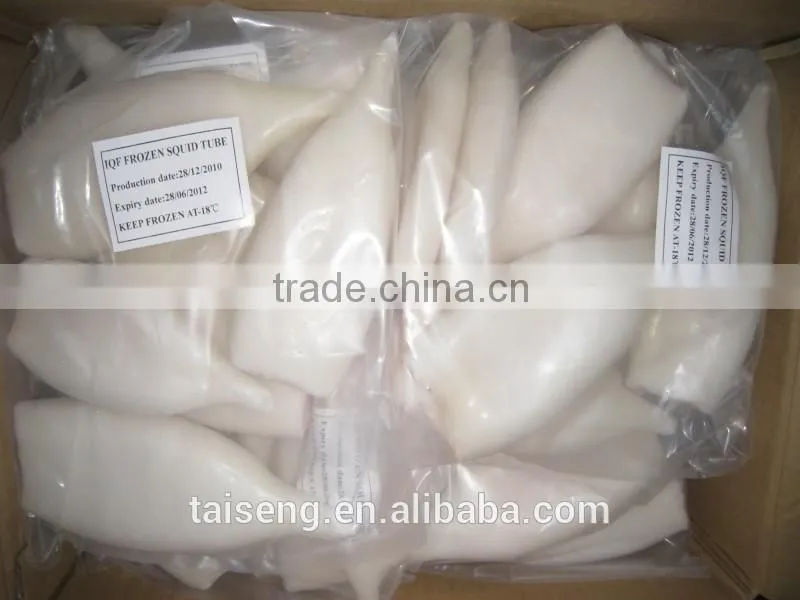 California Frozen Fresh Whole Round Squid With Price