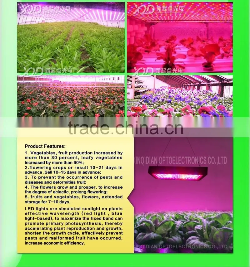 branches of agriculture powerful led grow lights 3w chip 300w red Ir uv led the lamp