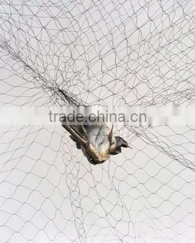 Nylon bird capture net