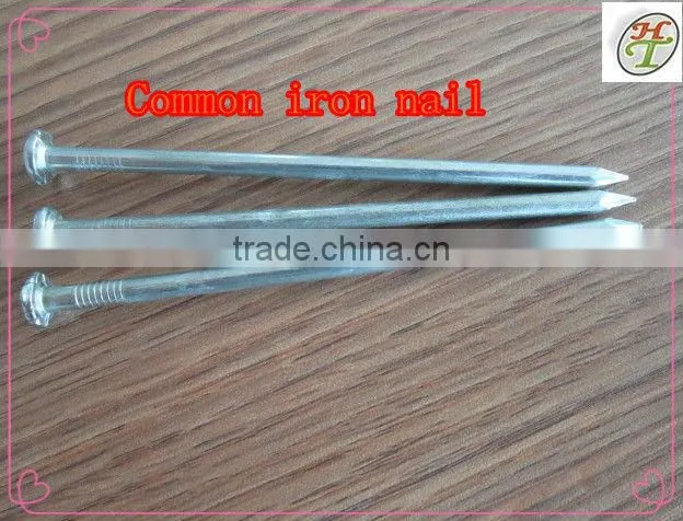 Iron common nail 2.40mm dia 38mm long 25kg per carton package galvanized iron nails