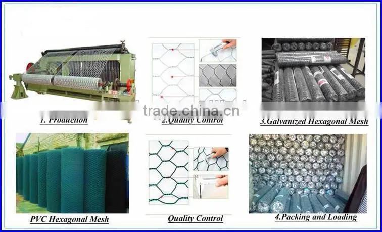 Galvanized Hex Wire Mesh / Chicken wire mesh / Hex wire mesh