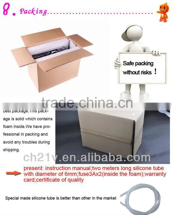 Hot! 2g ceramic ozone generator for drinking water