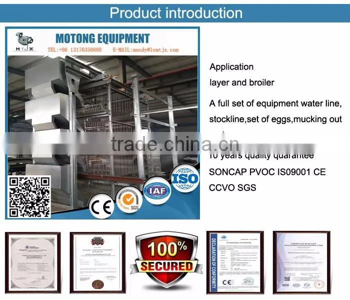 H type 56 chickens broiler chicken cage sale for Tanzania