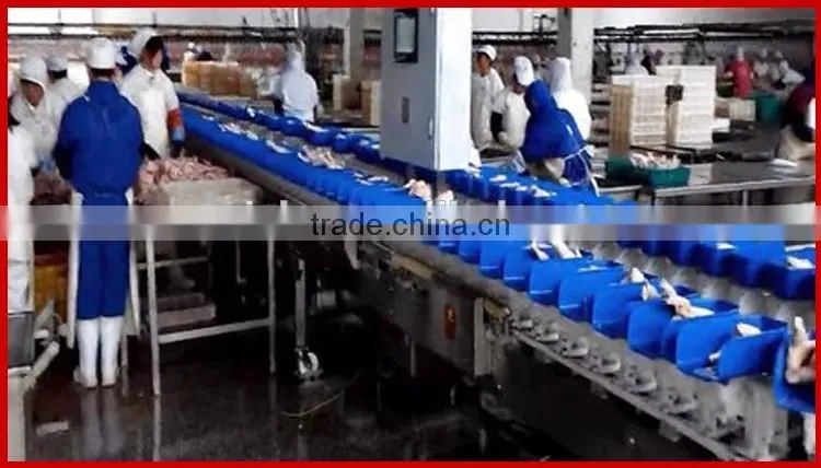 Automatic Chicken Wings and Meats Weight Sorting Machine