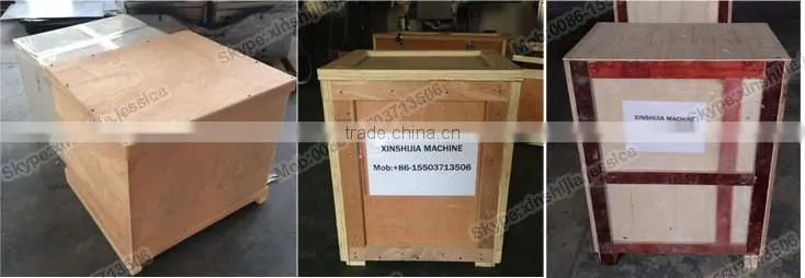 Easy used freeze drying fruit machine