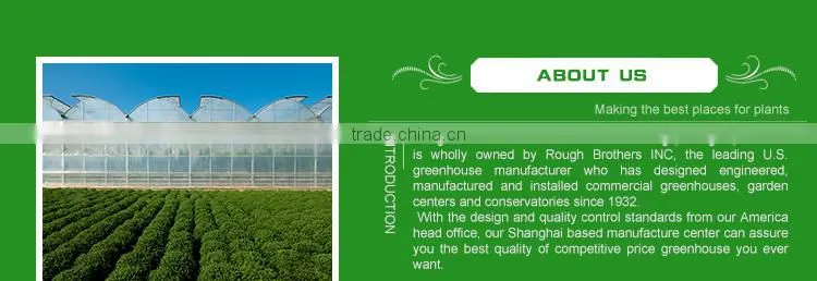 Commercial Greenhouse for sale Single span greenhouse