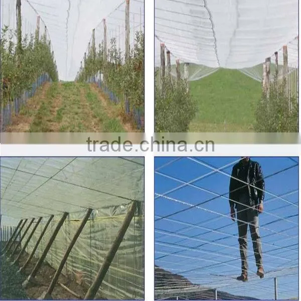 Super strength agriculture polyester wire, black and white color greenhouse polyester wire for vinyard