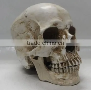 Halloween Decoration Carevd Resin Skull Sculpture