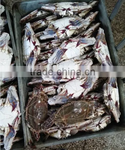 Frozen Blue Swimming Crab Whole