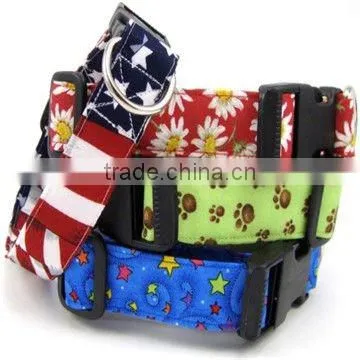 bright color dog Collar