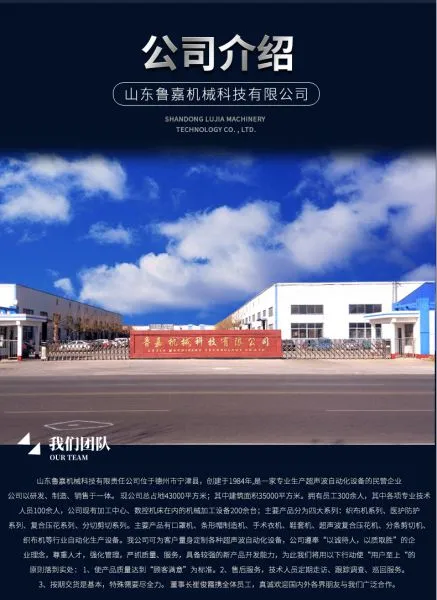 Shandong Lujia Machinery Technology Co. Ltd company overview - view 1