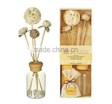 aromatherapy diffuser with essential oil gift set