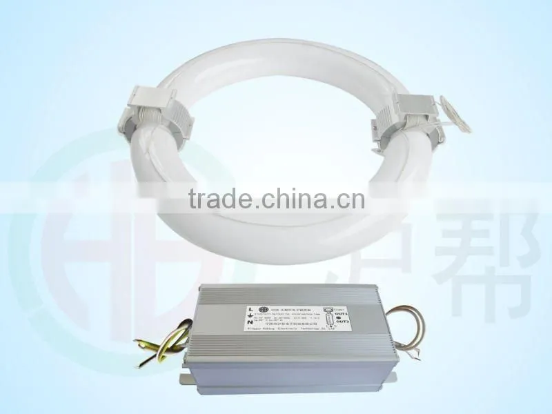2012 Newest R-type Inducstion Lamps 350W energy-saving lighting