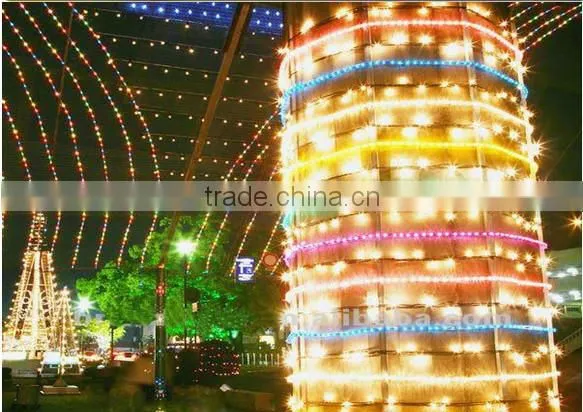 New design 12V 5050 SMD WW 60 LED/M two color led strip light