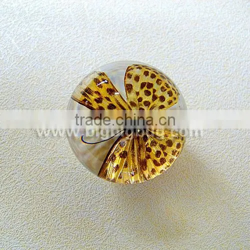 Transparent Acrylic Colorful Real Butterfly Marble Toys